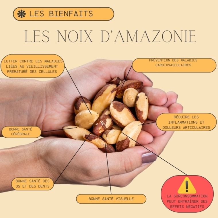 La noix d'Amazonie : un super-aliment pour votre santé? Votre épicerie Itinérante vous réponds, Dolomieu, M Le Vrac