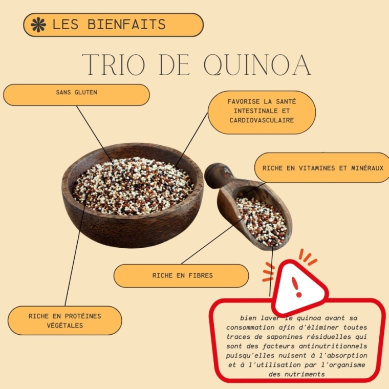 Quinoa : bienfaits santé et inconvénients. Votre épicerie itinérante vous en parle. , Dolomieu, M Le Vrac